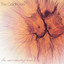 The Surrounding Hours cover