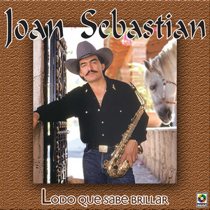 Lodo que sabe brillar cover