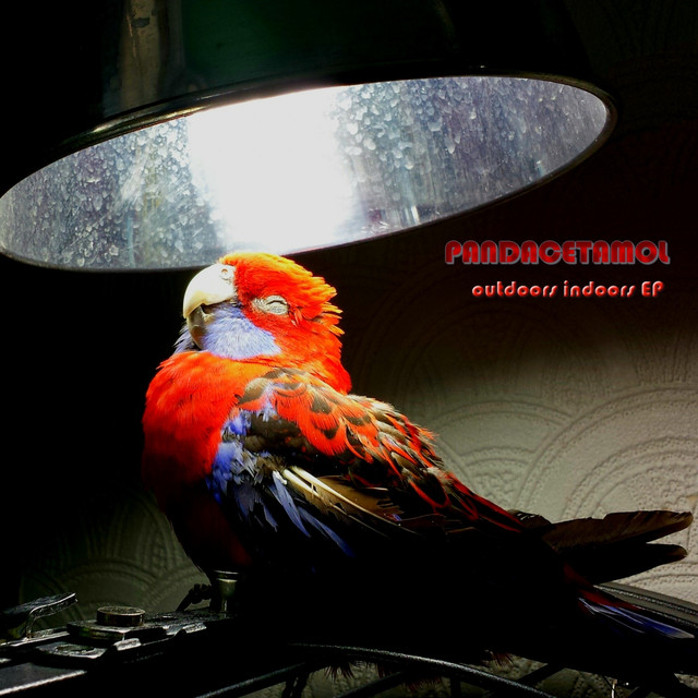 Pandacetamol Photo