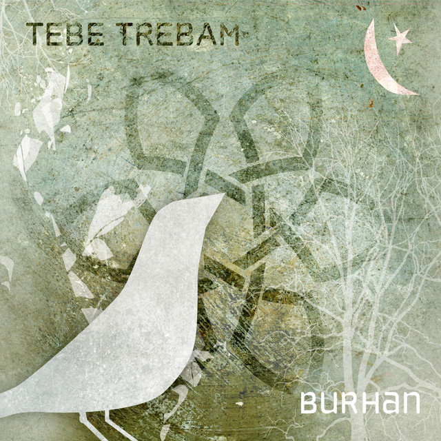 Burhan Saban Photo