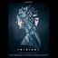 Insight cover