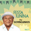 Festa Junina por Dominguinhos - Vol. 1 cover