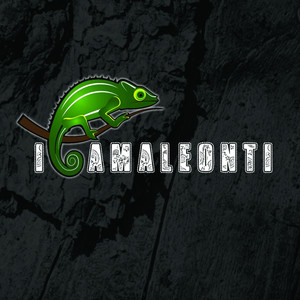 I nostri successi cover