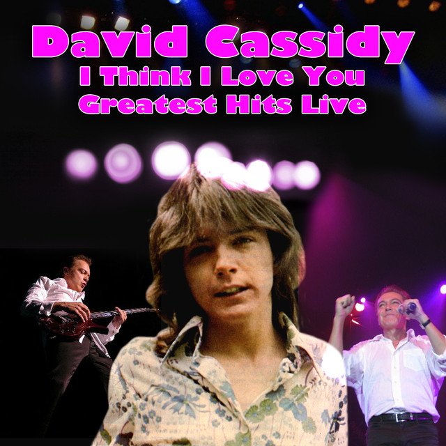 I Think I Love You - Greatest Hits Live cover