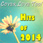 Hits of 2014 Albumcover
