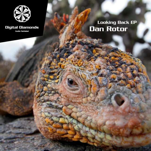 Dan Rotor Photo