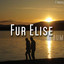 Fur Elise Albumcover
