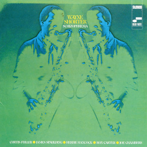 Schizophrenia cover