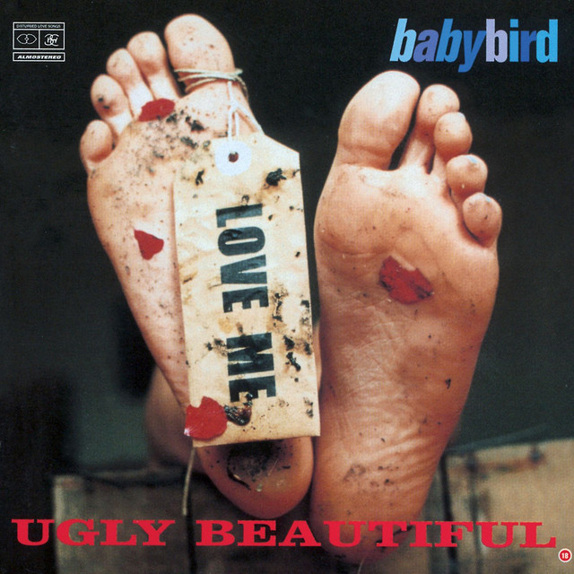 Ugly Beautiful cover