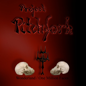 Wonderland / One Million Faces album