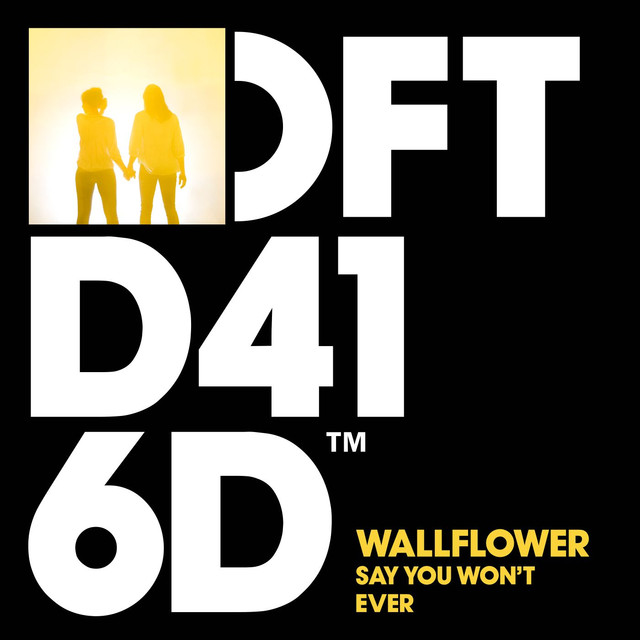 Wallflower photo