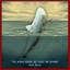 The Whale Raised His Voice and Roared Albumcover