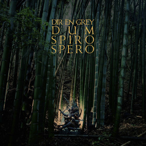 DUM SPIRO SPERO album