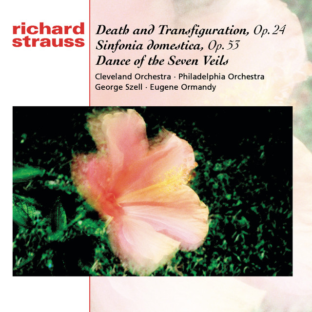 Strauss: Tod und Verklärung; Sinfonia Domestica; Dance of the Seven Veils Albumcover