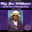 Big Joe Williams and the Stars of Mississippi Blues (C) cover
