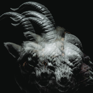BEAUTIFUL DEFORMITY album