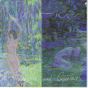 Songs Of Innocence And Experience Albumcover