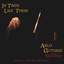 In Times Like These cover