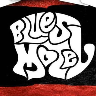 Blues Motel Photo