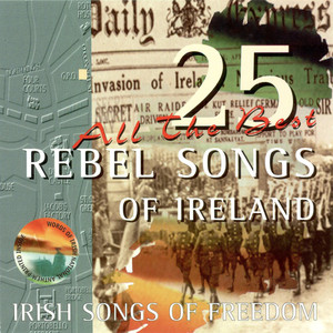 25 Rebel Songs Of Ireland cover