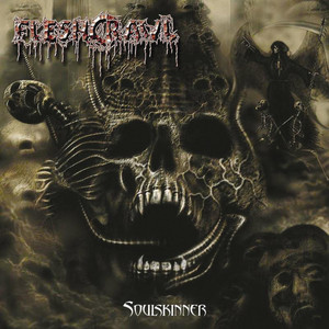 Soulskinner cover