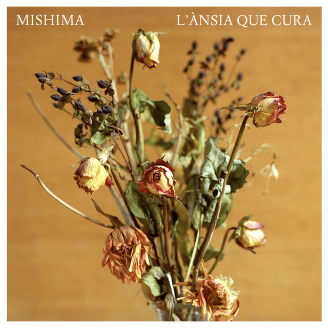 L'ànsia Que Cura cover