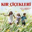 Kır Çiçekleri Albumcover