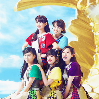 Team Syachihoko poster