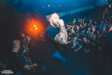 Lionheart Photo