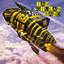Clear Air Turbulence cover