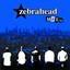 MFZB cover
