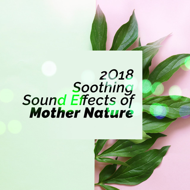 2018 Soothing Sound Effects of Mother Nature
