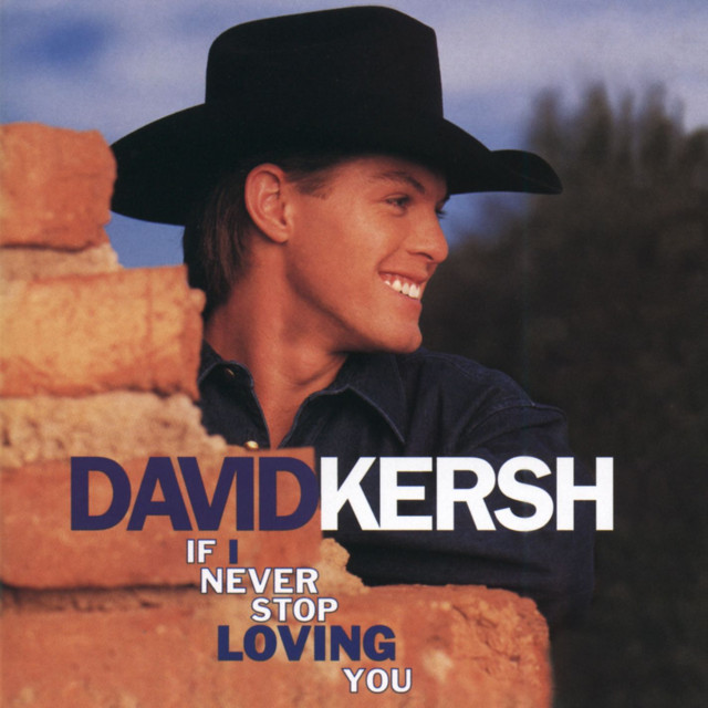 If I Never Stop Loving You cover