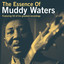 The Essence of Muddy Waters cover