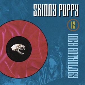 12 Inch Anthology album