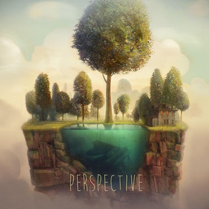 Perspective cover
