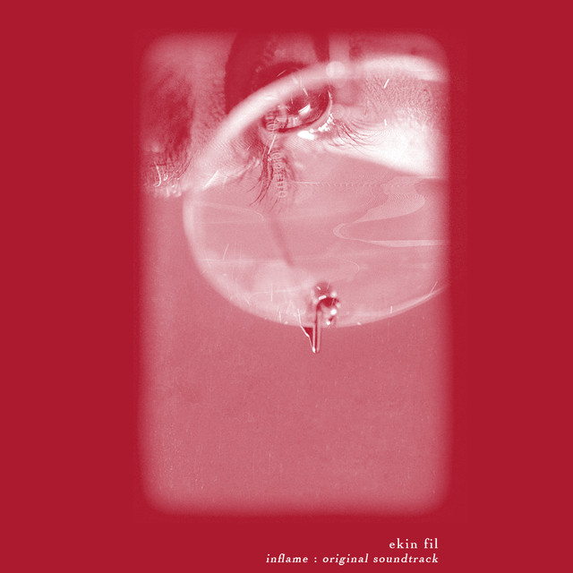 Ekin Fil Photo