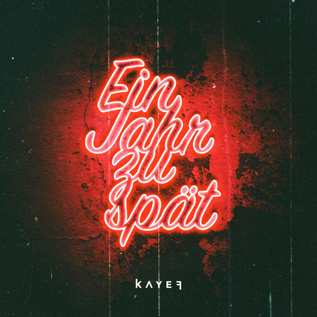 Ein Jahr Zu Spät cover