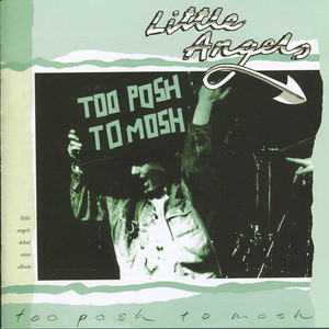 Too Posh To Mosh album