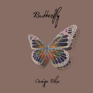 Butterfly cover