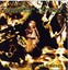 Broad View Gardens Albumcover