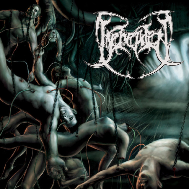 Recounts Of Disembodiment cover