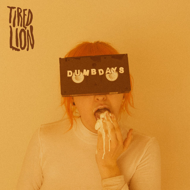 Dumb Days cover