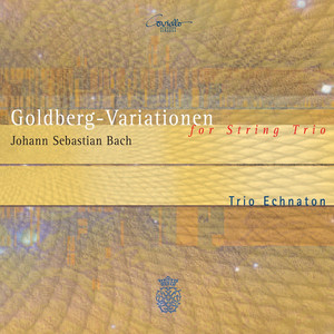 Goldberg-Variationen BWV 988 cover
