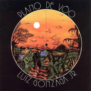 Plano de Vôo album