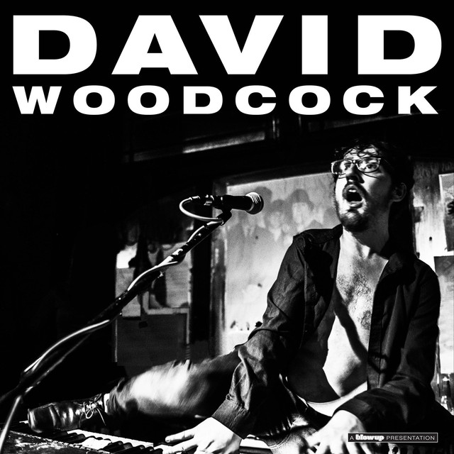 David Woodcock photo
