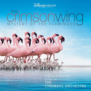 The Crimson Wing: Mystery of the Flamingos album