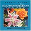 Sego Brothers and Naomi - Jesus Is A Way Maker