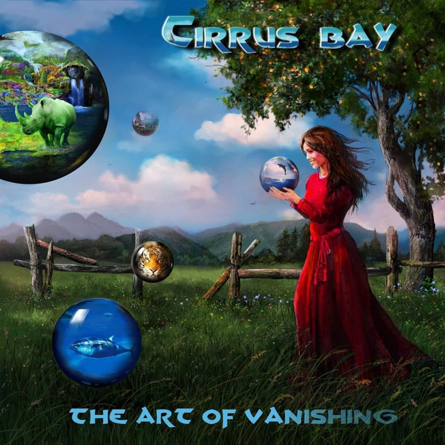 Cirrus Bay Photo