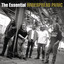 The Essential Widespread Panic cover